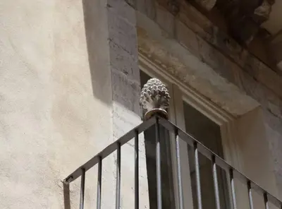 Planimetria di Ortigia MaaM Apartment