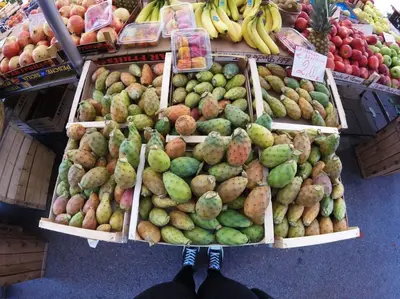 Cibo presso la casa vacanze o nelle vicinanze