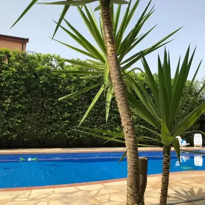 Il Giardino di Tolù Siracusa