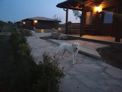 Ospiti di Villaggio San Demetrio con animali domestici
