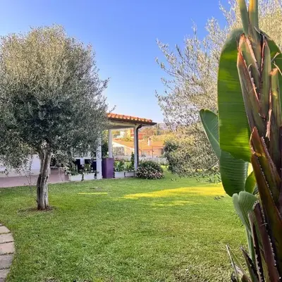 Villa Summer house