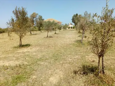 Paesaggio naturale nelle vicinanze della casa vacanze