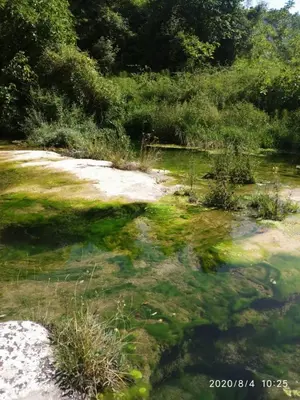 Paesaggio naturale nelle vicinanze dell'appartamento