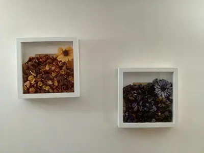 Planimetria di Casa Manzoni