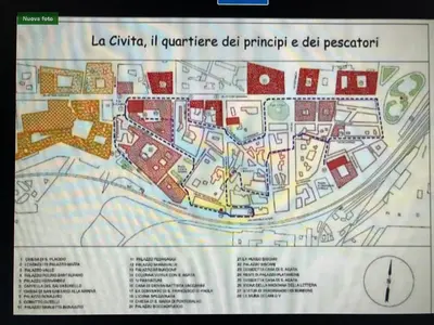 Planimetria di petit palais