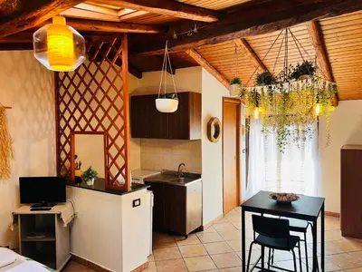 Cucina o angolo cottura di petit palais