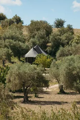 Paesaggio naturale nelle vicinanze dell'agriturismo