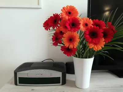 Planimetria di CIVICO 5 ORTIGIA - TERRAZZA VISTA MARE
