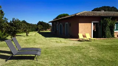 Giardino di Tenuta San Calogero App Rosmarino