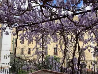 Giardino di Appartamento Il Glicine