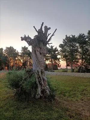 Paesaggio naturale nelle vicinanze dell'agriturismo