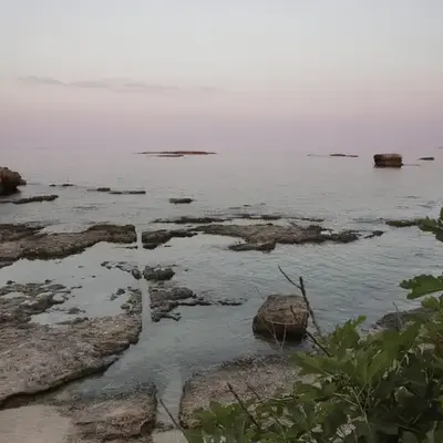 Green House - 1 Min dal Mare-Vicinissimo ad Ortigia e al Teatro-parcheggio fuori ZTL in strada gratuito