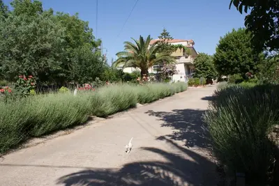 Giardino di Giogaia