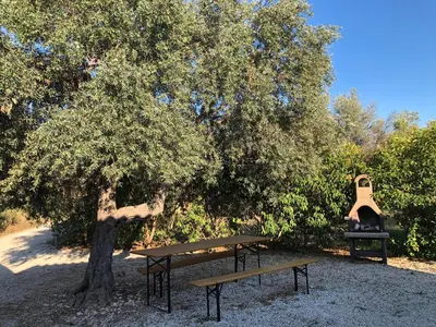 Planimetria di Punta del Cane