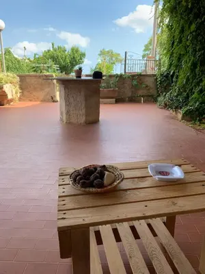 Planimetria di Affittacamere Ternulla