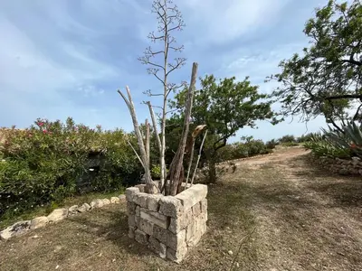 Paesaggio naturale nelle vicinanze della villa