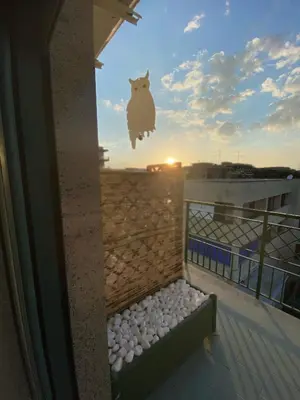 Balcone o terrazza di B&B MaLò Family Friendly