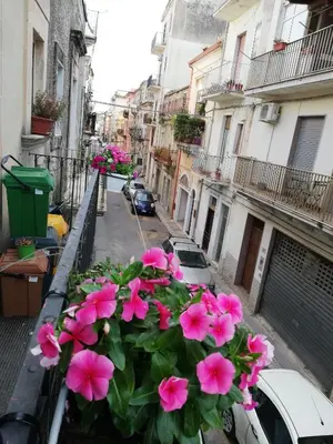 Il quartiere o una zona nella vicinanze dell'appartamento