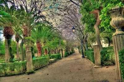 Giardino di Casa dell'aquila Barocca