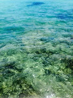 Paesaggio naturale nelle vicinanze della villa