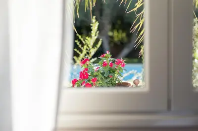 Giardino di Villa Silva - IsulaTravel