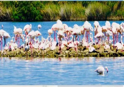 Paesaggio naturale nelle vicinanze dell'appartamento