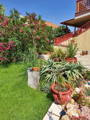 Giardino di Maison Etoile de Mer