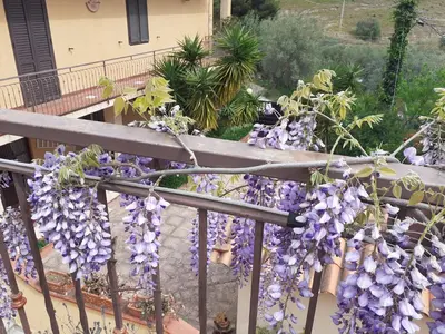Balcone o terrazza di CASA DEGLI OLEANDRI