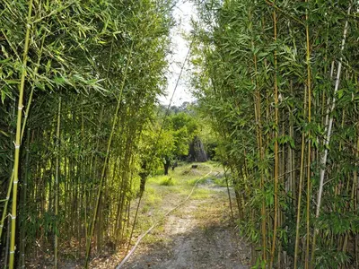 Paesaggio naturale nelle vicinanze della casa vacanze