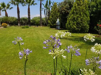 Giardino di Villa Antonella