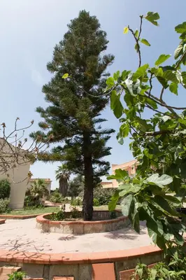 Giardino di Villa Marina - San Lorenzo