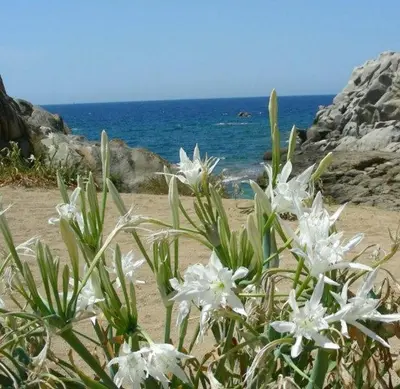 Paesaggio naturale nelle vicinanze della casa vacanze