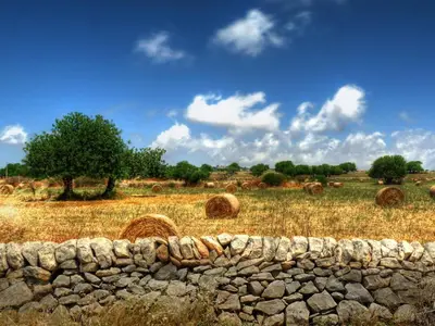 Paesaggio naturale nelle vicinanze dell'appartamento