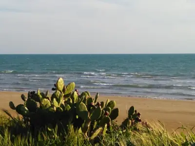 Paesaggio naturale nelle vicinanze della casa vacanze