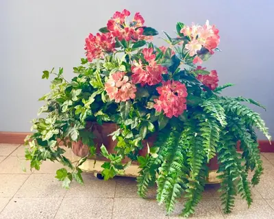 Planimetria di My lovely Home