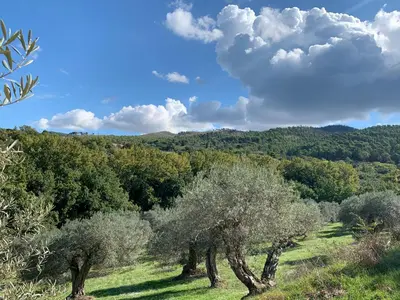 Paesaggio naturale nelle vicinanze dell'agriturismo