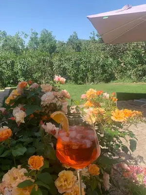 Bevande di Villa Santa Margherita