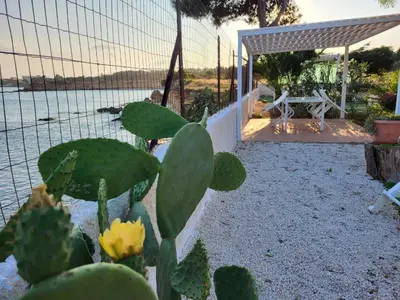 Paesaggio naturale nelle vicinanze dell'appartamento