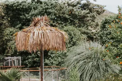 Giardino di Cosi Priziusi