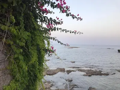 Paesaggio naturale nelle vicinanze della casa vacanze