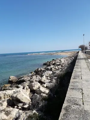 Paesaggio naturale nelle vicinanze dell'appartamento