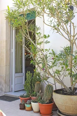 Giardino di Dimora Vera
