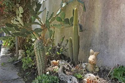 Giardino di Dimora Vera