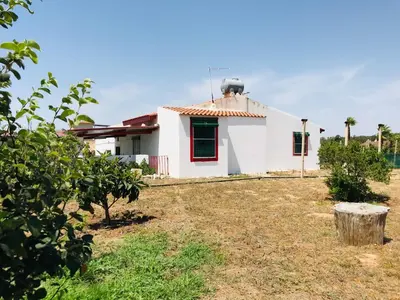 Giardino di CASA VACANZA PALMENTO BELLA