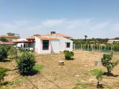 Giardino di CASA VACANZA PALMENTO BELLA