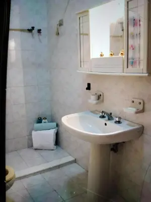 Bagno di Twins