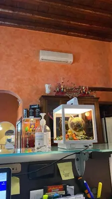 Planimetria di B&B L'Infiorescenza new