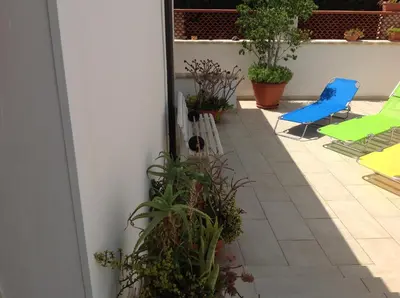 Giardino di B&B Villa Tania