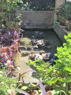 Giardino di Oasi Del Gabbiano