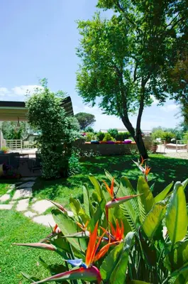 Giardino di Stone House Modica